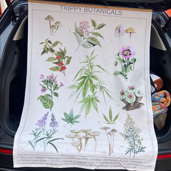 Trippy Botanicals Illustrated Tapestry Urban Outfitters wall hanging - Picture 1 of 9